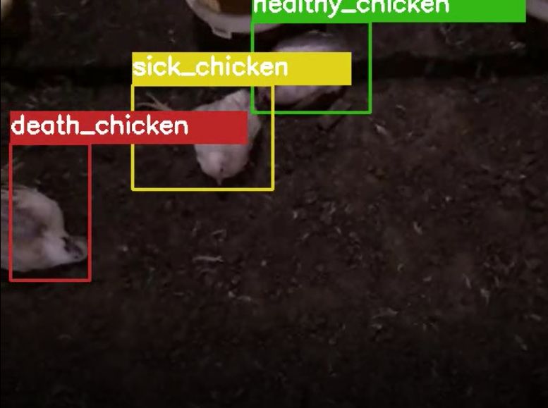 Chicken Monitoring System